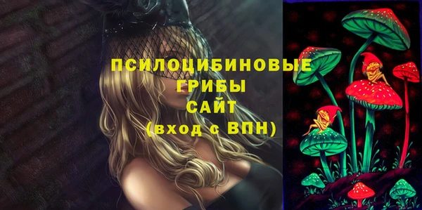 стаф Белокуриха