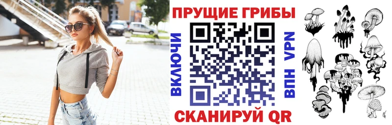купить  цена  Каменногорск  Псилоцибиновые грибы Cubensis 